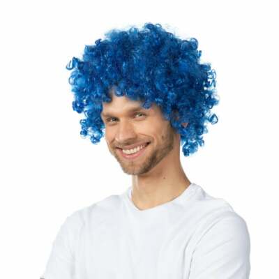 Blau lockig Afro Kostüm Perücke Funky Disco Welttag des Buches Sache 1 Clown Stil 