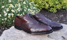 Allen Edmonds Shell Cordovan Cambridge Wingtip 9.5 E 9.5E Brogue 8685 McAllister