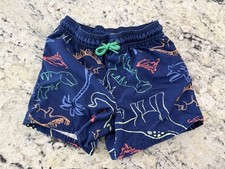 Boys Dinosaur Swim Trunk Lined Carter s 5T