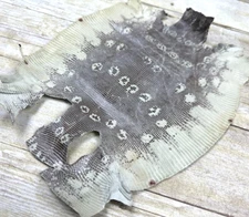 Natural Genuine Ring Lizard Leather Hide Exotic Skin Teju Tegu Iguana real 138