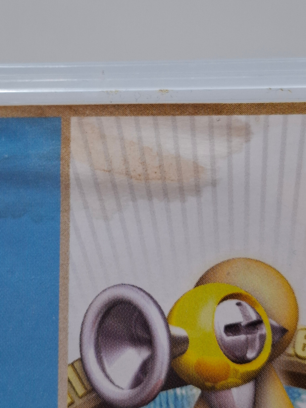 Picture 5 of 5