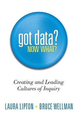 Laura Lipton Bruce Wellman Got Data? Now What? (Taschenbuch) (US IMPORT)