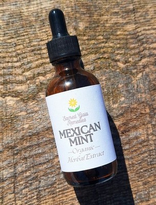 Mexican Mint, Cuban Oregano, Indian Borage, Respiratory System, Fresh Herbal