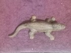 CHICAGO INDIANAPOLIS & LOUISVILLE "MONON" RAILROAD  CAST ALLIGATOR MATCH SAFE — photo 4