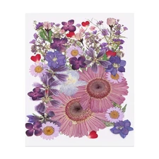 50 Pcs Dried Pressed Flower Leaves Bulk for Resin, Purple Mist