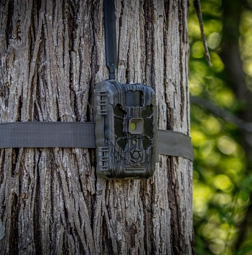 Stealth Cam STC-DECEPTOR Deceptor No-Glo Cellular Trail Camera, 40MP Dual - 第 2/8 張圖片