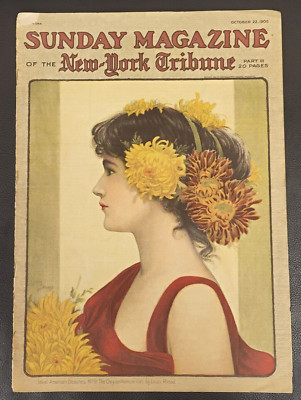 New York Tribune Sunday Magazine Oct 22, 1905 American Beauties Chrysanthemum Gi