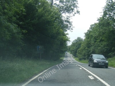 Photo 6x4 A507 at Millbrook Warren Millbrook/TL0138  c2011