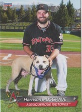 2018 Albuquerque Isotopes Harrison Musgrave RC Rookie Colorado Rockies Minor
