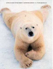 Living in the Environment (with InfoTrac): Principles, Connections, and...