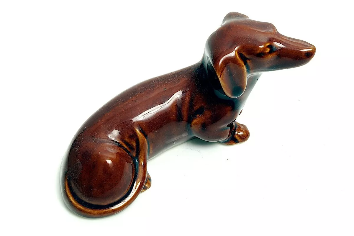 Rare dachshund best sale breeds