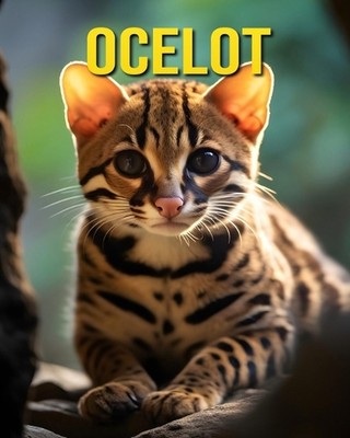 Ocelot: Fun and Amazing Pictures About Ocelot by Susan Pharo Paperback Book