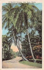 Palm Beach FL Florida A1A Ocean Blvd Mansion Driveway Entrance Vtg Postcard V4