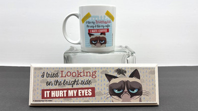 Grumpy Cat standing comical desk sign (USA), and 10oz mug Ganz 2013, NEW other