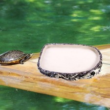 Reptile Food Dish Bowl Resin Amphibian Feeding Bowl Reptile Food Water Bowl