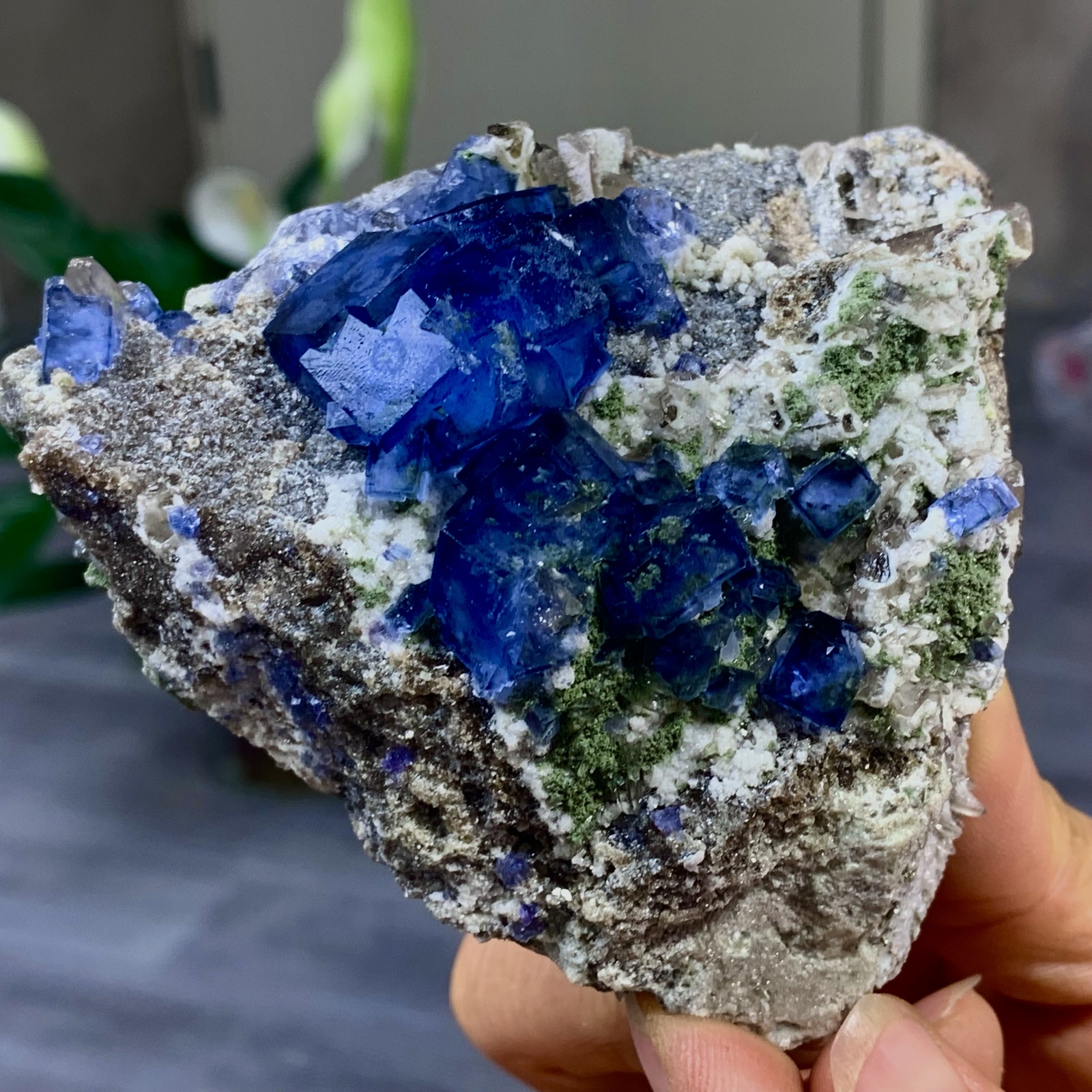 329G Rare Transparent Blue-Green Cubic Fluorite Crystal Specimen from China