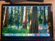 Defekt Apple MacBook Pro 13" A2338 2020 Original LCD Bildschirm Assembly Grau