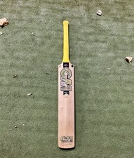 GM Psyche Signature L540 Grade 1 English Willow Bat SH - Huge Sweetspot & Ping!