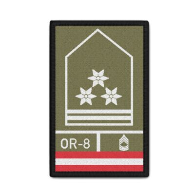 Rank Patch Bundesheer Offizierstellvertreter Österreich 9,8 x 6cm#37106