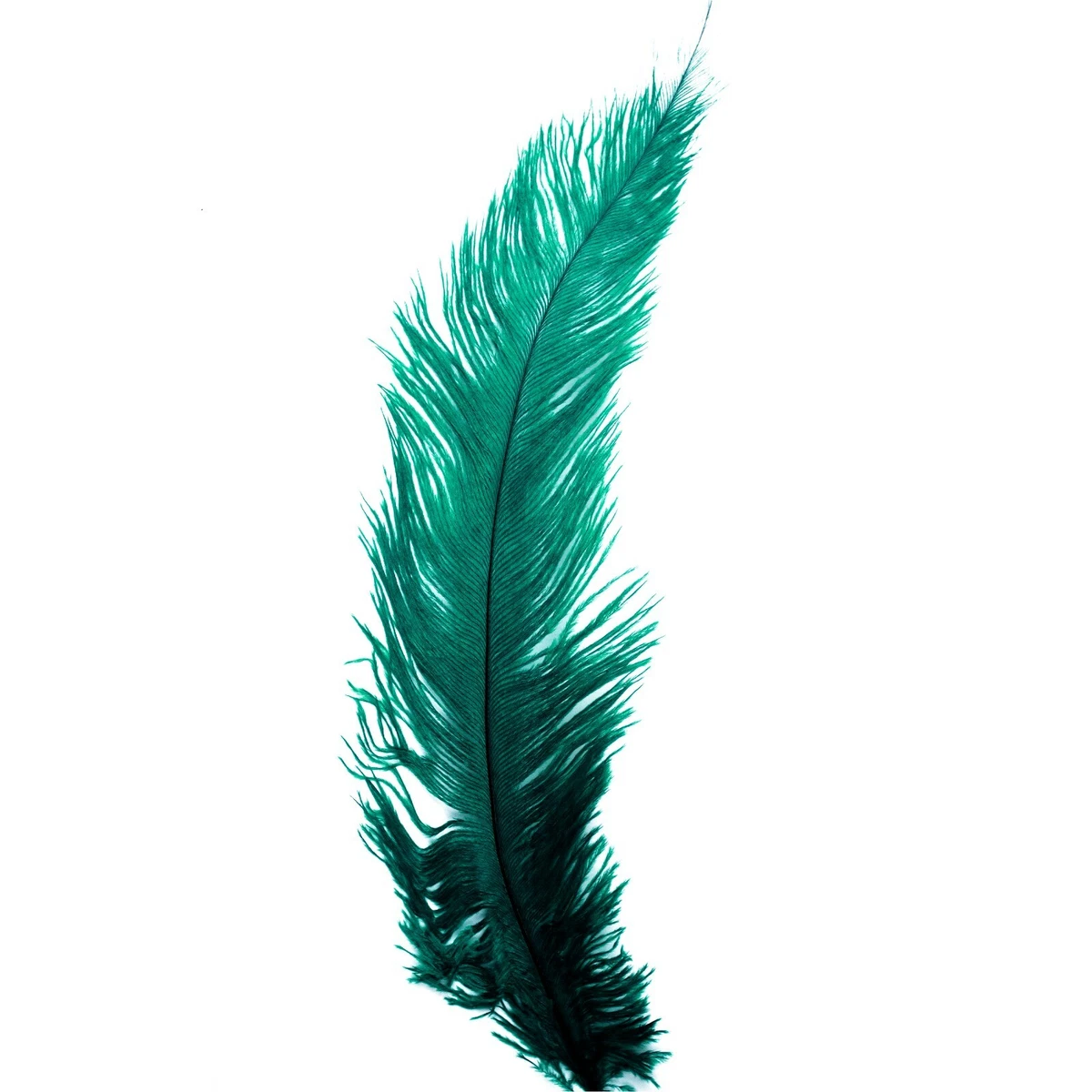 Emerald green ostrich feathers deals