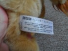 Bild 7 von 7