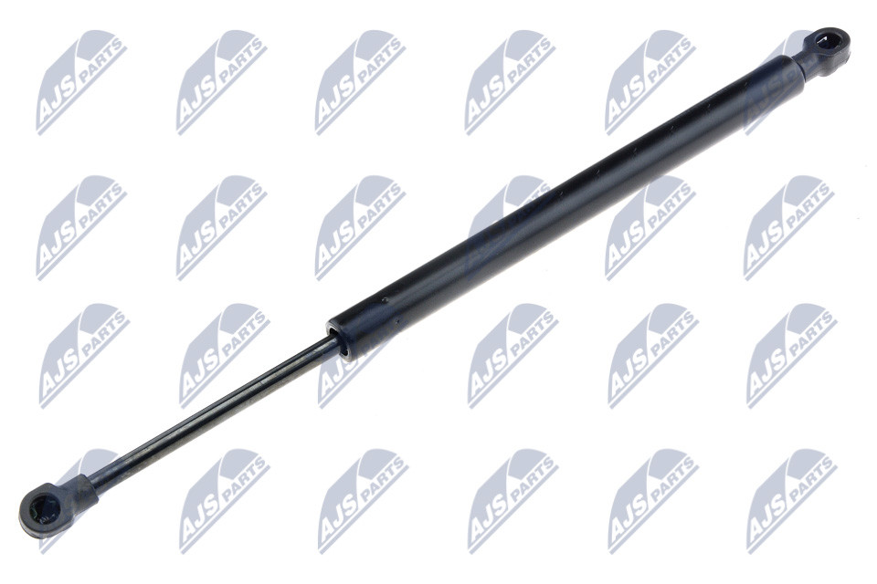 NTY AE-FT-025 Gas Spring, bonnet for FIAT