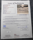 Ted Williams Signed 16 x 20 Photograph - #760/775 - JSA Authenticated — photo 3