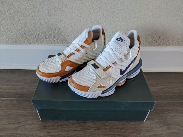 lebron xvi medicine ball