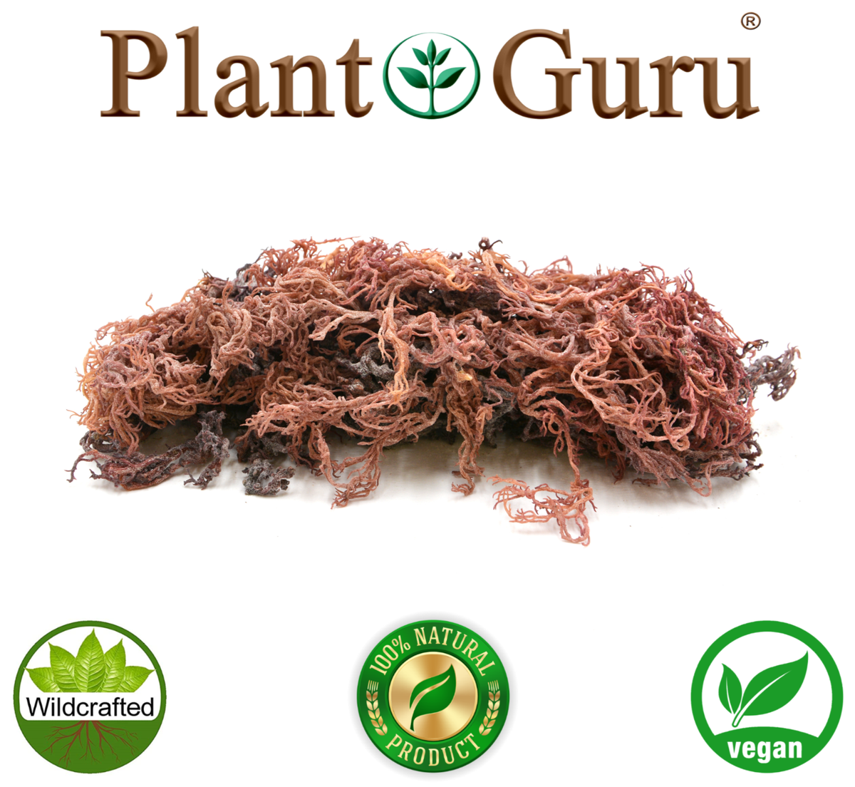 SURGE MUSIC TRACK 149cm 新品、未使用品 moss SURGE MUSIC TRACK 149cm 新品、未使用品 moss