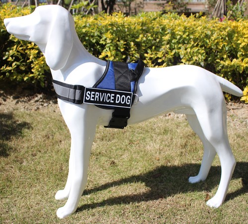Service Dog Harness Police German Shepherd Vest + Removable Patches 13 Colors - Picture 16 of 35
