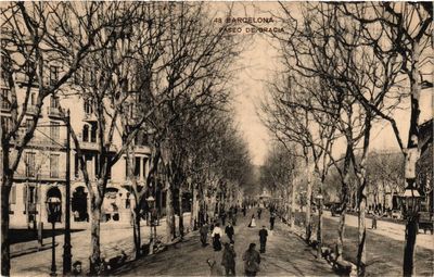 Tirage Albuminé Vintage De Barcelone - Paseo De Gracia Vers 1880 - Format 17x22 Cm