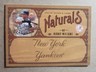 2005 Leaf Leather & Lumber Naturals Bernie Williams /2000 New York Yankees #2