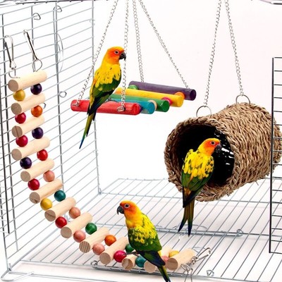parrot in cage toy