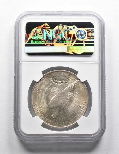 Mint Error MS61 1923 Peace Silver Dollar OBV Struck Thru NGC *1928 - Picture 2 of 3