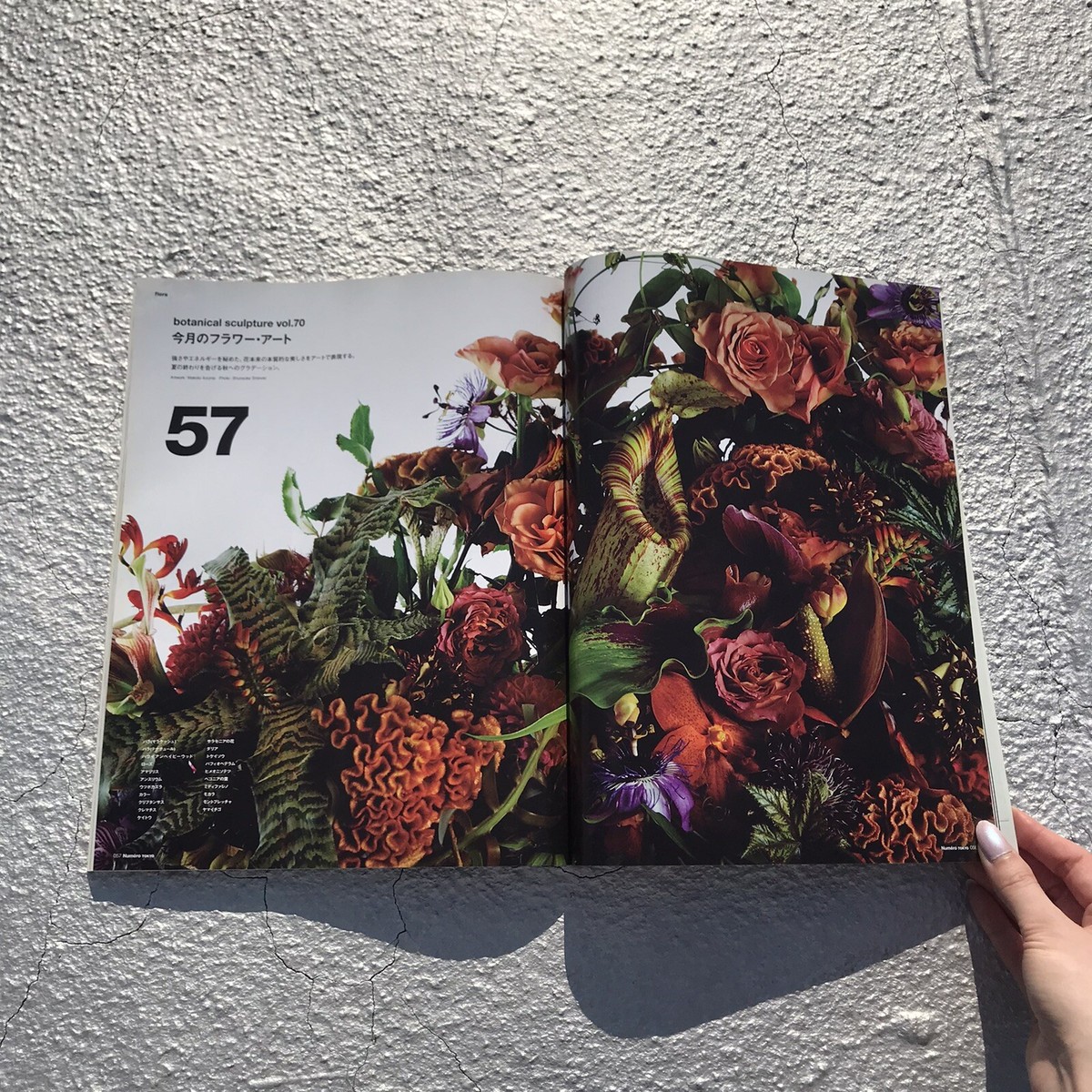 Numéro Tokyo Magazine - October 2013 | eBay