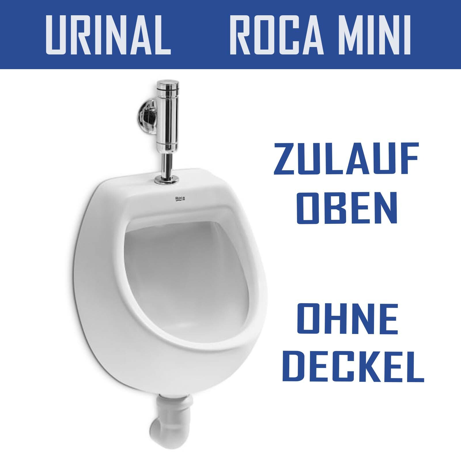 Boss Schwein Domain urinal mit deckel klein Veränderung Väterlich Werbung