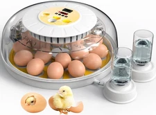 18 Egg Incubators for Hatching Eggs, Automatic Egg Turner and Egg Candle Tester