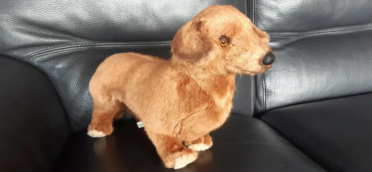Peluche chien teckel marron eBay