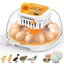 12 Egg Incubator with Automatic Turning, Humidity Control, 360  Clear View