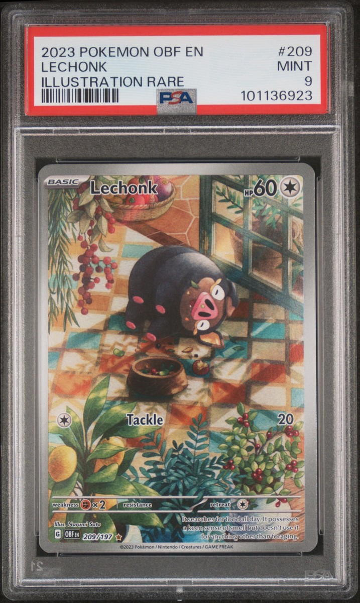 2023 POKEMON OBF EN-OBSIDIAN FLAMES ILLUSTRATION RARE #209 LECHONK