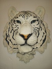 15 × 13 Hand Painted DWK White Tiger Bust Fi...
