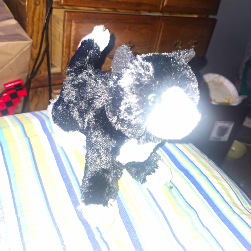 Douglas Black & White Cat Plush Stuffed Animal, Black/White Stuffed Cat