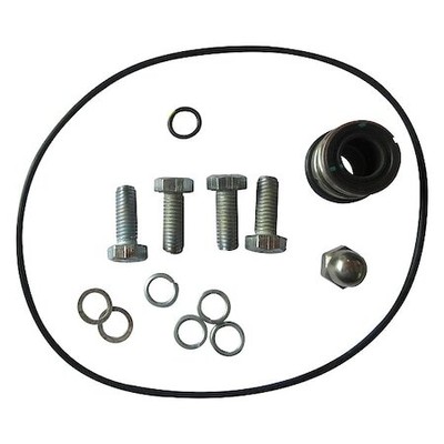 Dayton Ggs_103721 Pump Repair Kit