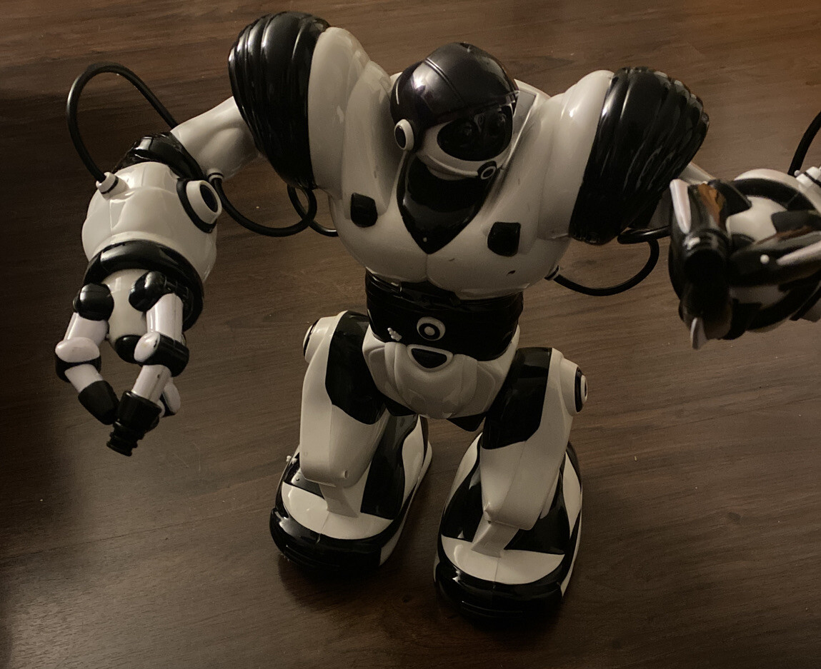 2004 wowwee robot