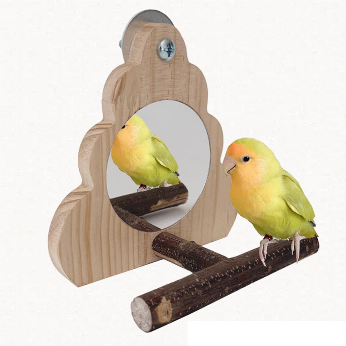 Small Bird Mirror Parrot Swing,Wooden Parakeet Perches Flower Interactive Play T