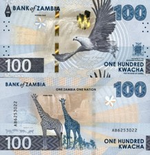 Zambia 100 Kwacha 2024 2025 P New Issue UNC NR No Reserve