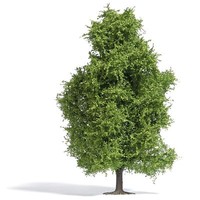 Busch H0 3741 Espe FrüHling 150 Mm
