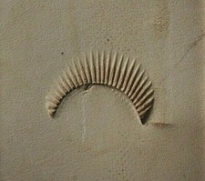  Tandy Leather CRAFTOOL Stamping Tool - CAMOUFLAGE - C454