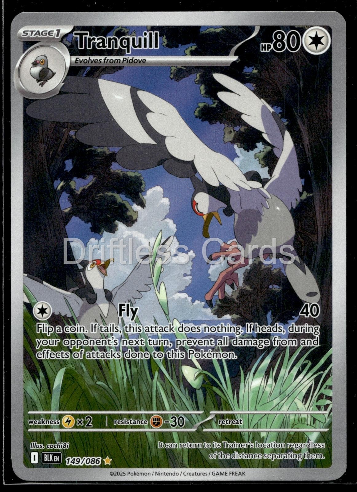Tranquill 149/086 Holo Illustration Rare Black Bolt Pokemon NM/M