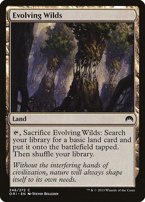 Evolving Wilds - Magic Origins - 246 - LP/NM